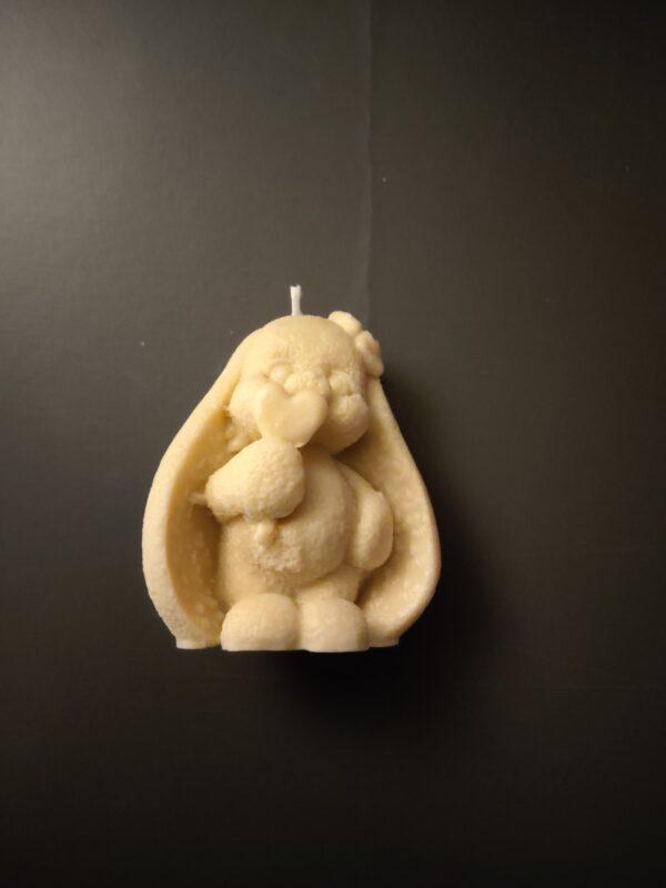 Petit lapin