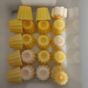Fondant mangue papaye