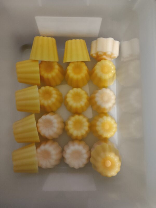Fondant mangue papaye